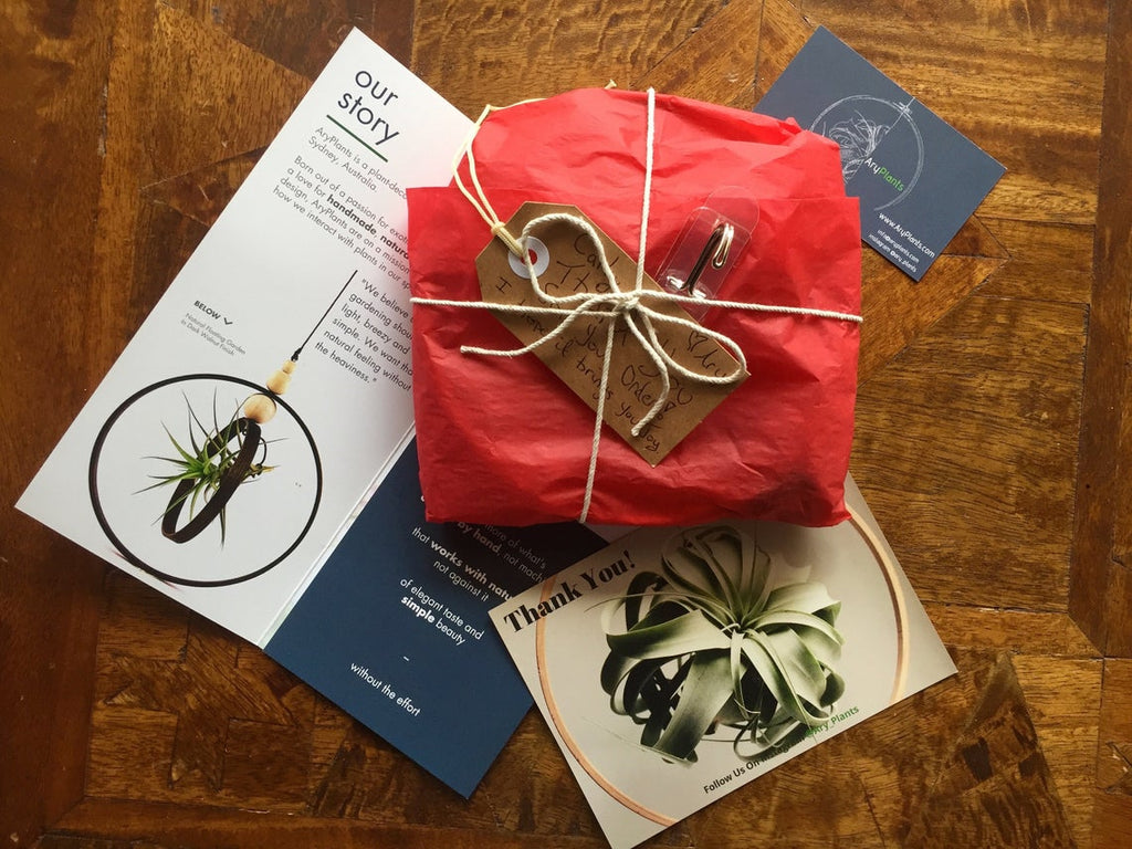 Modern Hanging Plant Holder