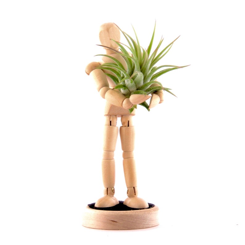Indoor Small Air Plant Planter